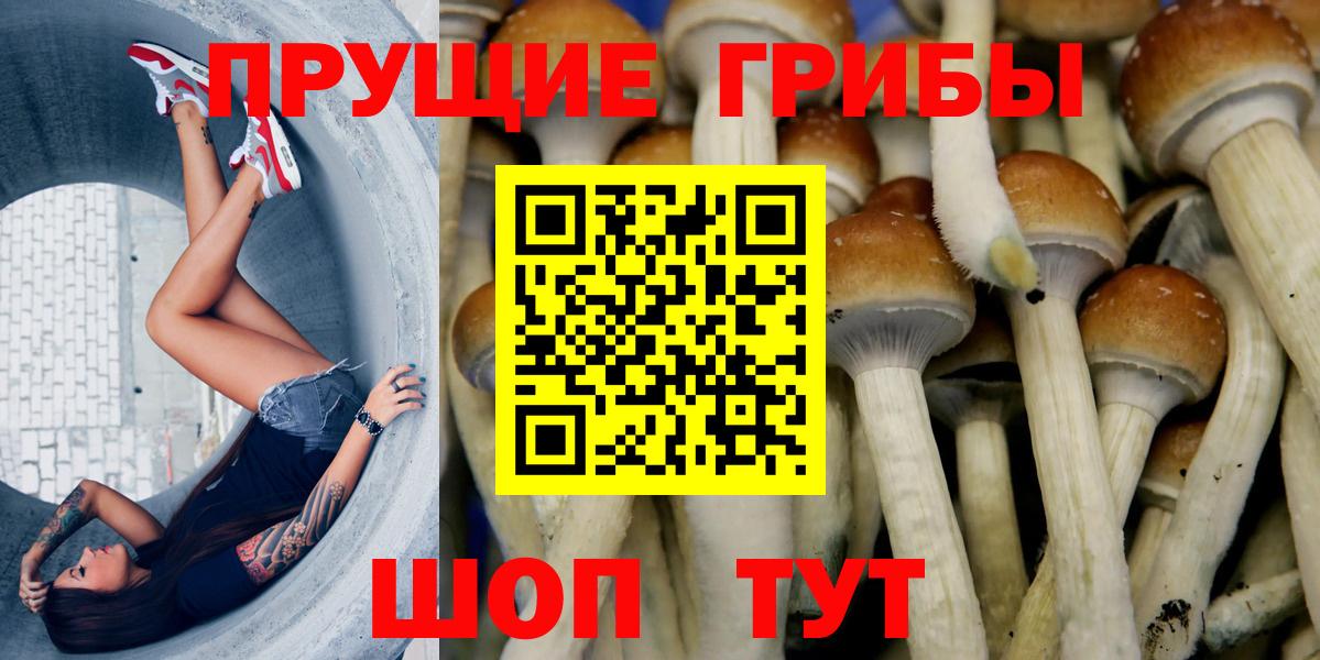 Новочеркасск  Псилоцибиновые грибы Cubensis  Вход с VPN  Галлюциногенные грибы MAGIC MUSHROOMS 